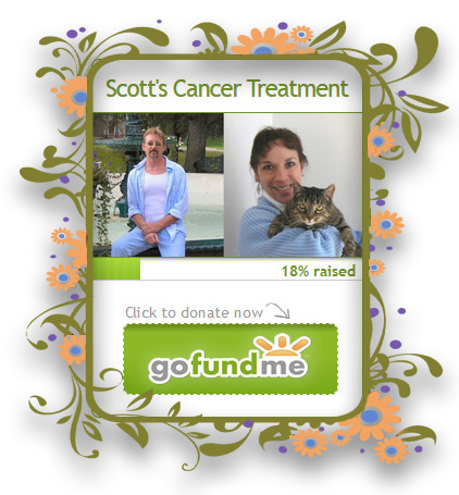 help getting home go fund me page