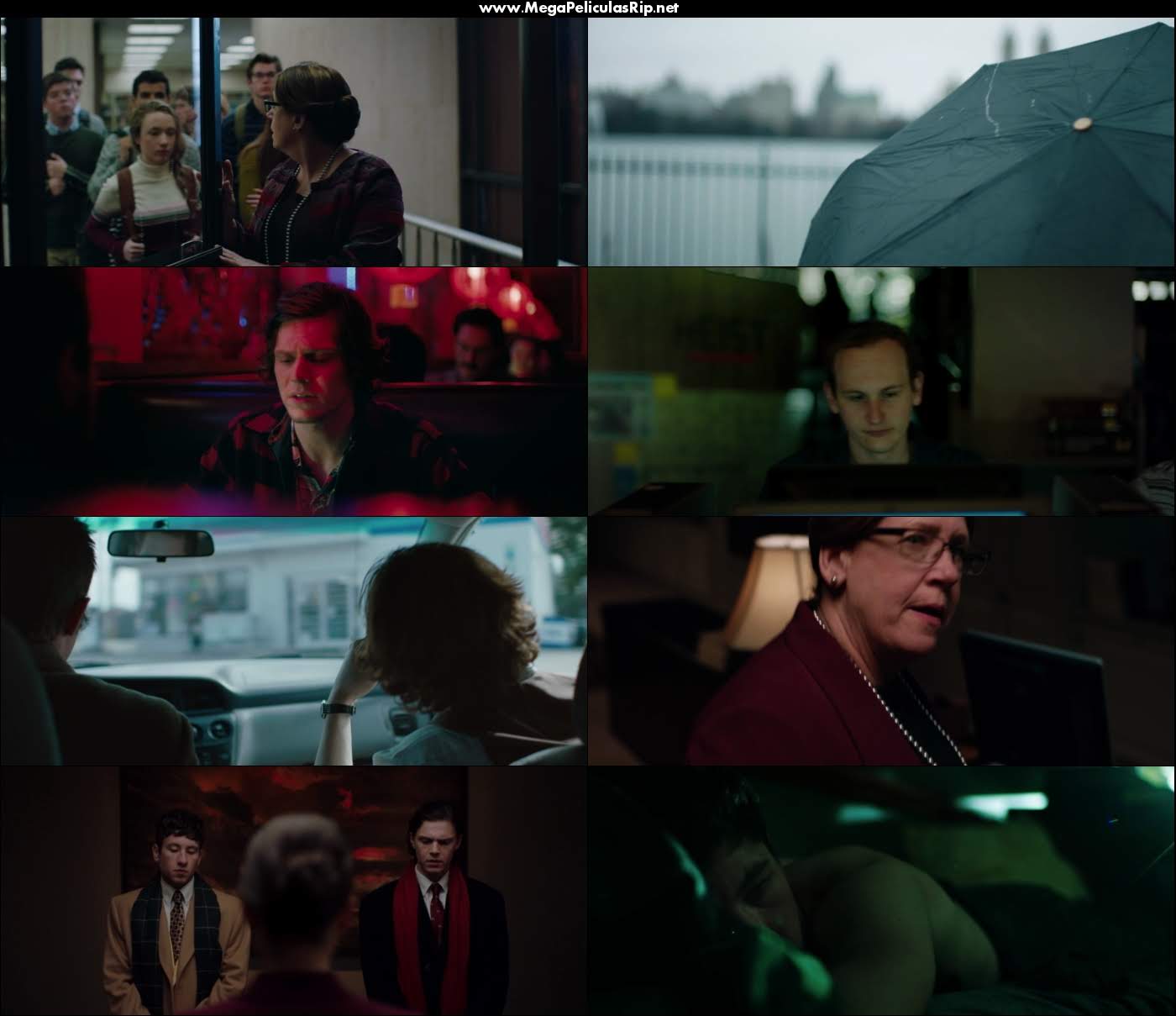 American Animals 1080p Latino