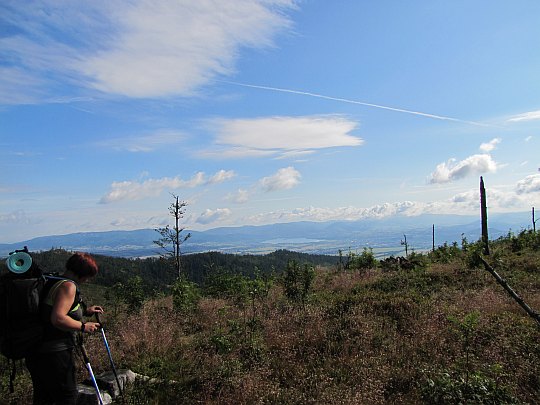 Partie szczytowe góry Glinne (1034 m n.p.m.). Partie szczytowe góry Glinne (1034 m n.p.m.).