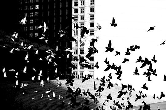 contrast with style examples contrast through art examples