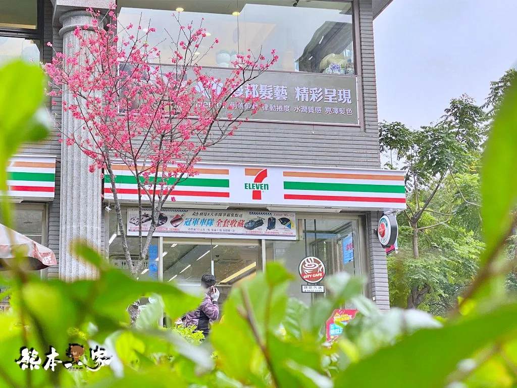 228連假三峽北大賞櫻花兼野餐親子半日遊|賞花點不少值得散步走走喔