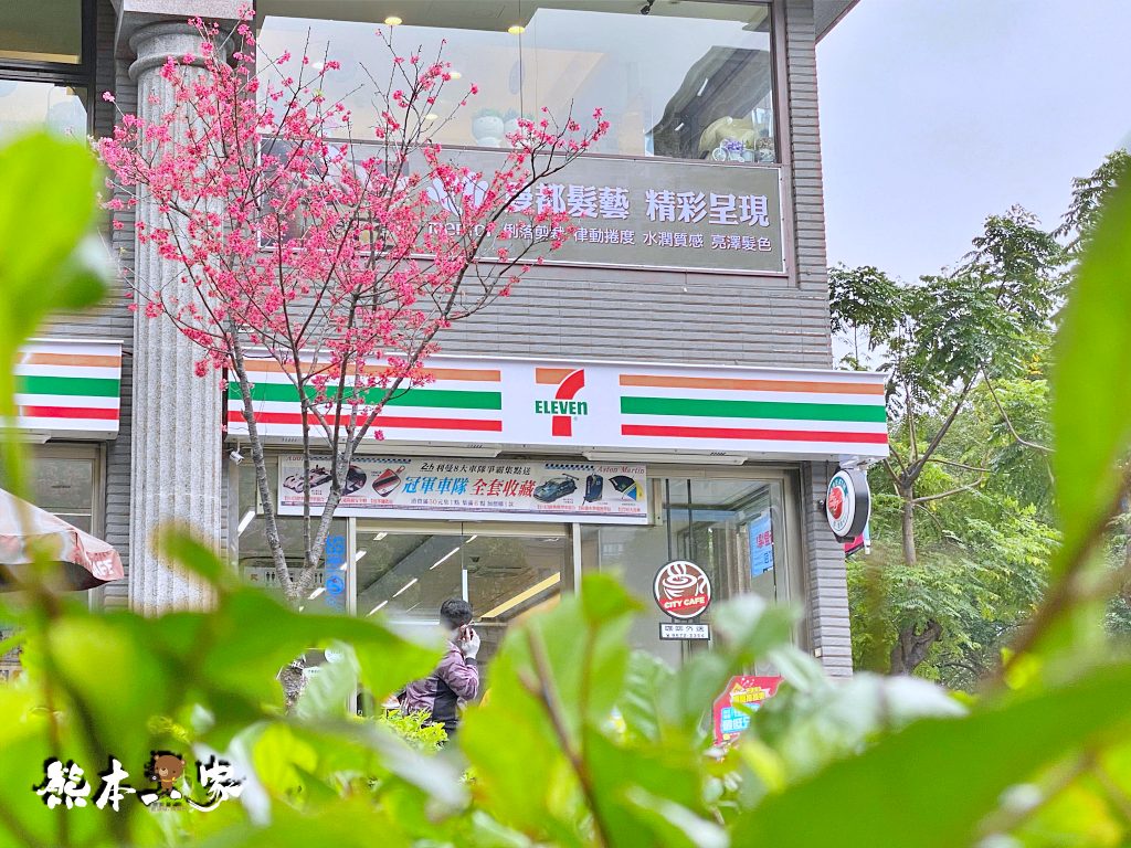 228連假三峽北大賞櫻花兼野餐親子半日遊|賞花點不少值得散步走走喔