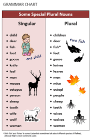 Singular dan Plural - Rumah Bahasa Inggris Tanjung Jabung Barat
