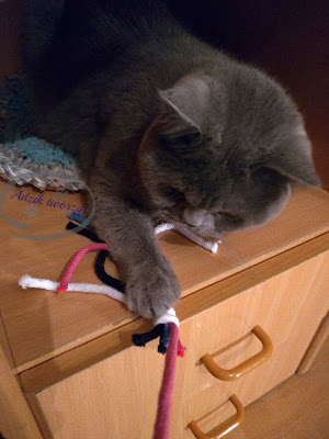 Adzik tworzy - zabawka dla kotów DIY ze sznurków