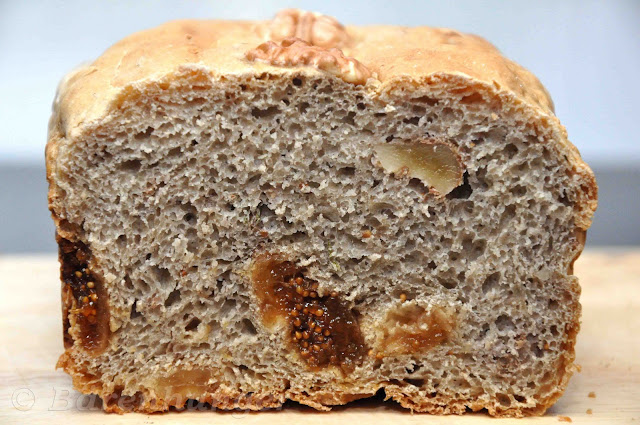 Fenchel Brot mit Feigen, Walnüssen und Rosmarin | Bärenhunger