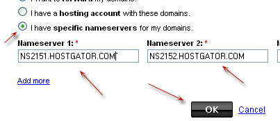 edit name server