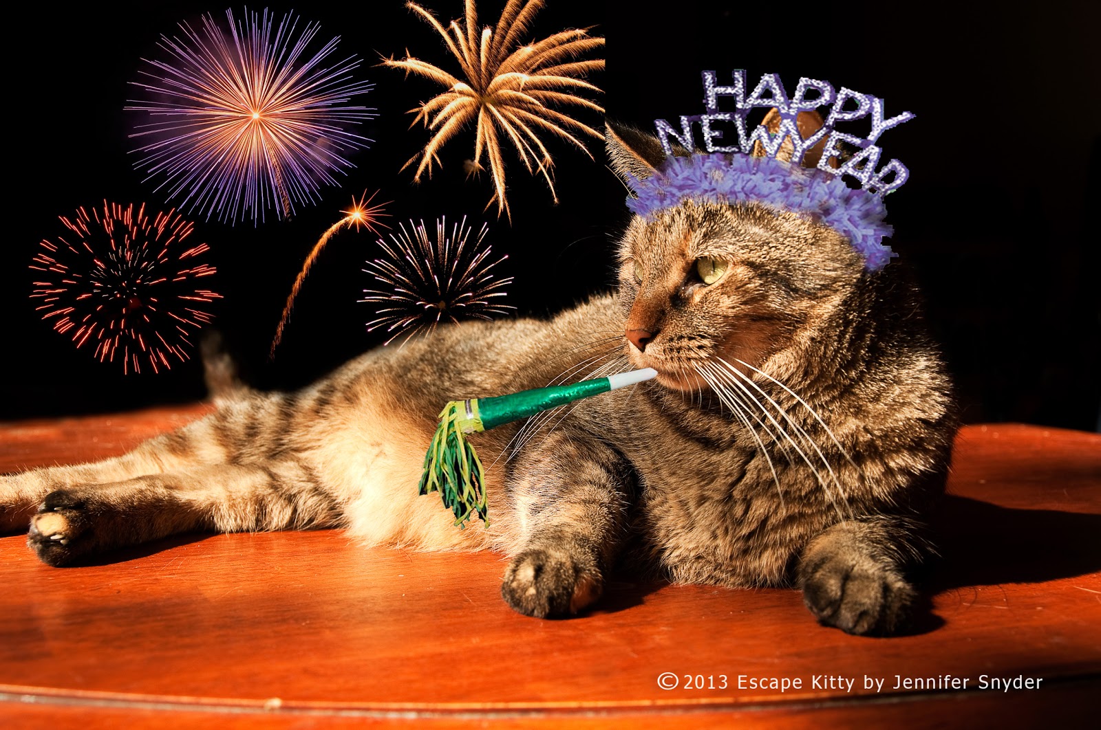 Escape Kitty's Scrappy Adventures Escape Kitty wishes you a Happy New Year