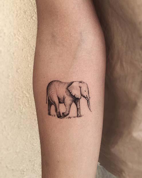 Tatuagens Femininas Tatuagens Femininas