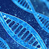 Τα DNA nanorobots σε άλλο επίπεδο