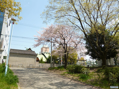 櫻宮神社 櫻宮神社