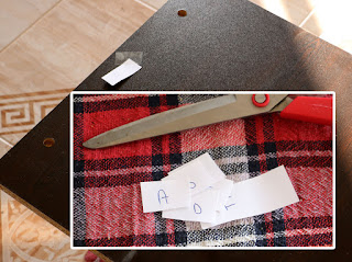 Carefully labeling all the parts Carefully labeling all the parts