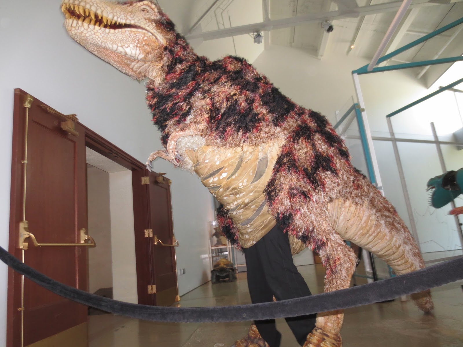 Team Kingman Part 2 LA Natural History Museum