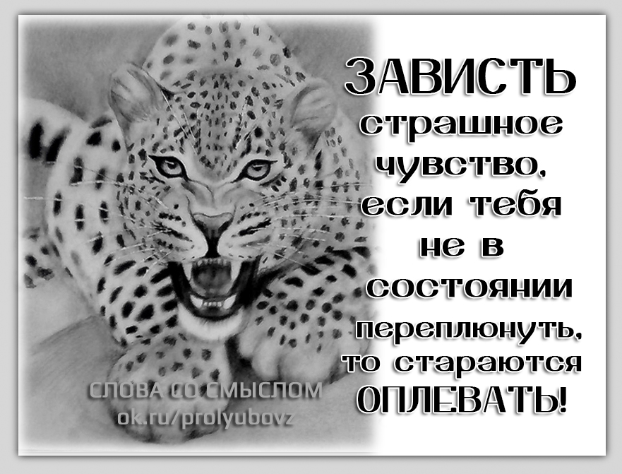Жалость раздают бесплатно а вот зависть нужно заслужить картинки с надписями
