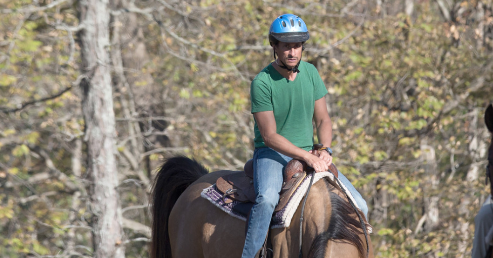 anthony weiner rides through addiction rehab horse anthony weiner rides through addiction rehab horse