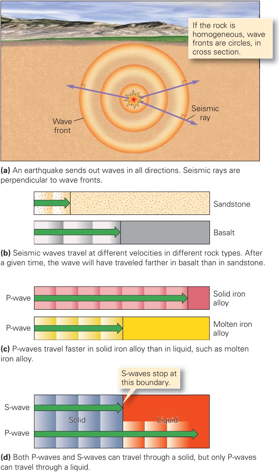 seismac wave