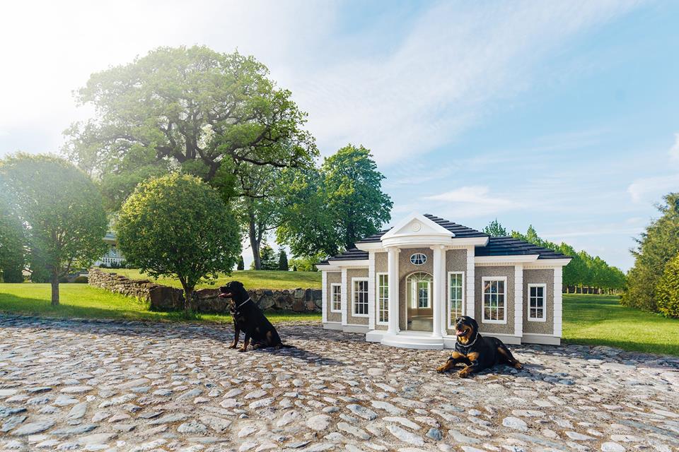 It's a dog's life: Luxury homes for man's best friend, entertainment news It's a dog's life: Luxury homes for man's best friend, entertainment news