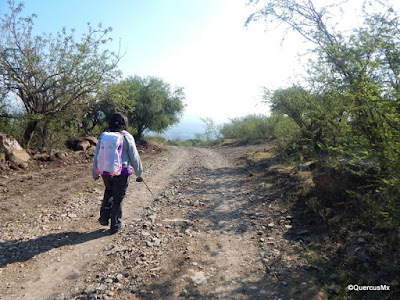 De regreso a San Miguel Cuyutlán