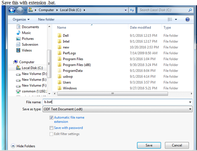 Execute Exe With Parameters