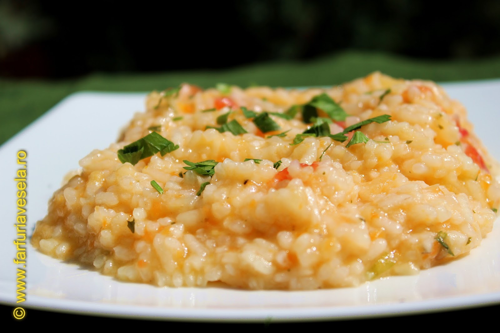 Farfuria vesela Pilaf cu legume (de post)