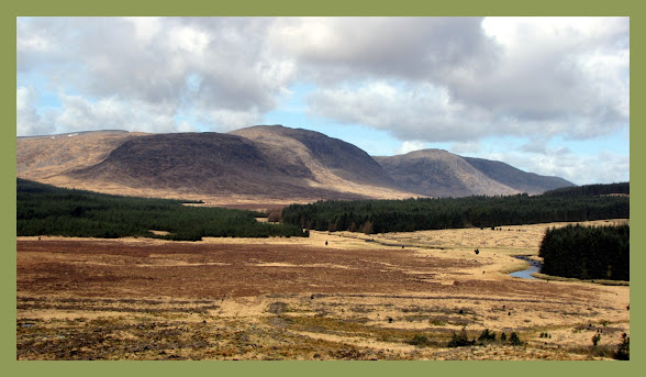 The Glebe Blog: Wigtownshire Ramblers Millfore March 2012