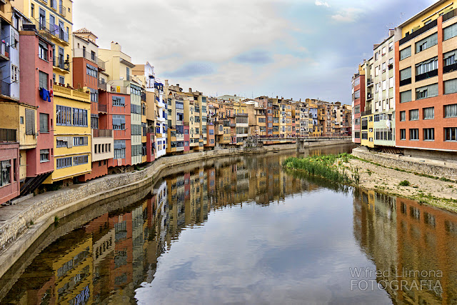 Girona F00015 de Wifred Llimona