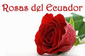 Rosas del Ecuador