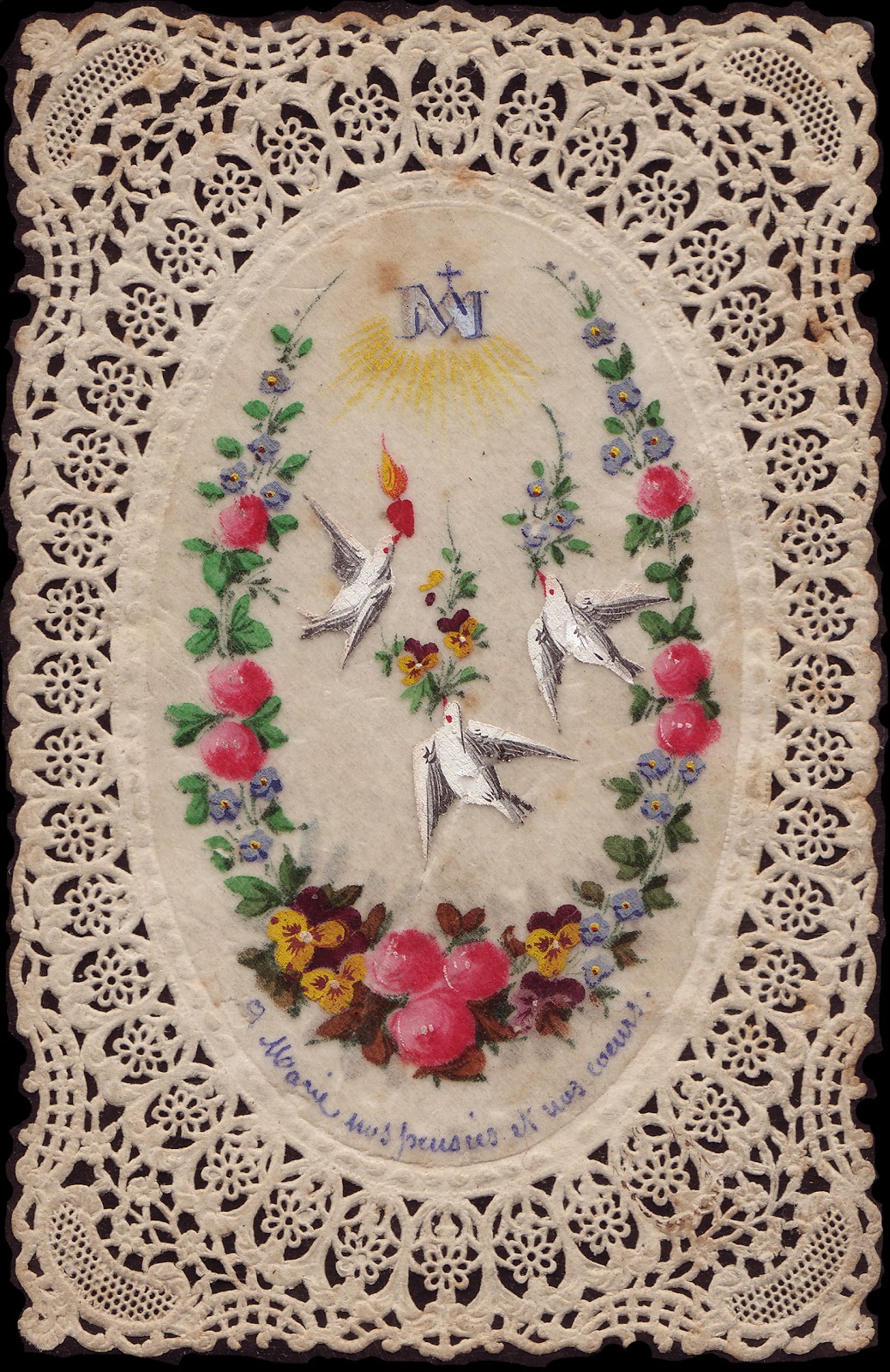 Nest of the Doves The Holy