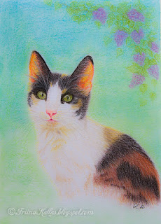 Portree - Kass Pagulane