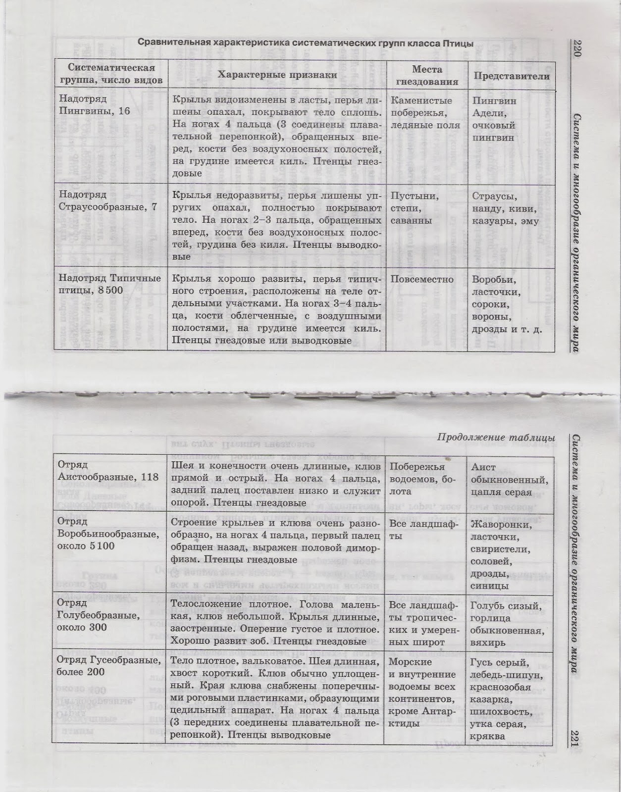 гдз по биологии 7 класс таблица отряды птиц. таблица птицы 7 класс биология отряды птиц. биология 7 класс таблица отряды птиц представители характеристика. общая характеристика класса птицы 7 класс таблица. отряды птиц таблица 7 класс биология.