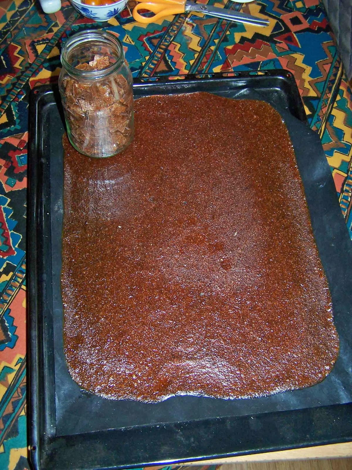 EcoDIY Drying and fruit leather.