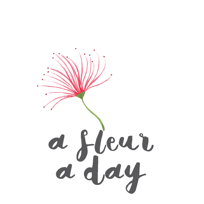 https://www.instagram.com/afleuraday/