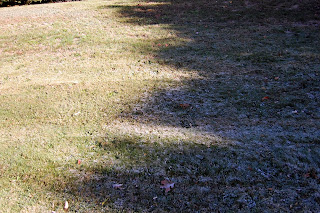 how cold was it? the frost on the grass melted as the sun shown on it