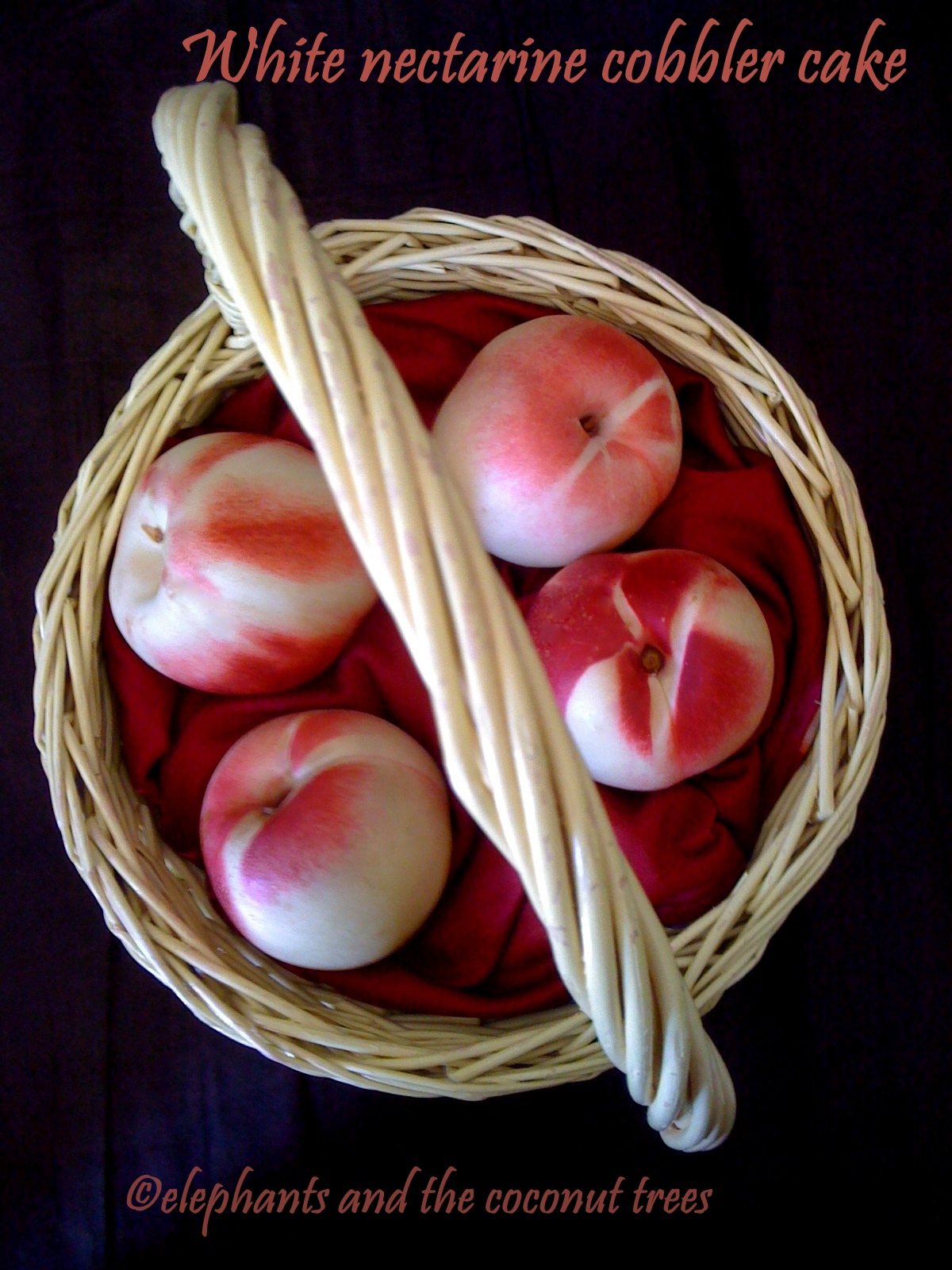 elephants and the coconut trees Easy White nectarine cobbler cakeold