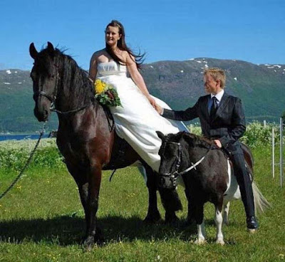 Lustige Bilder Eheschließung - Brautpaar auf Pferden