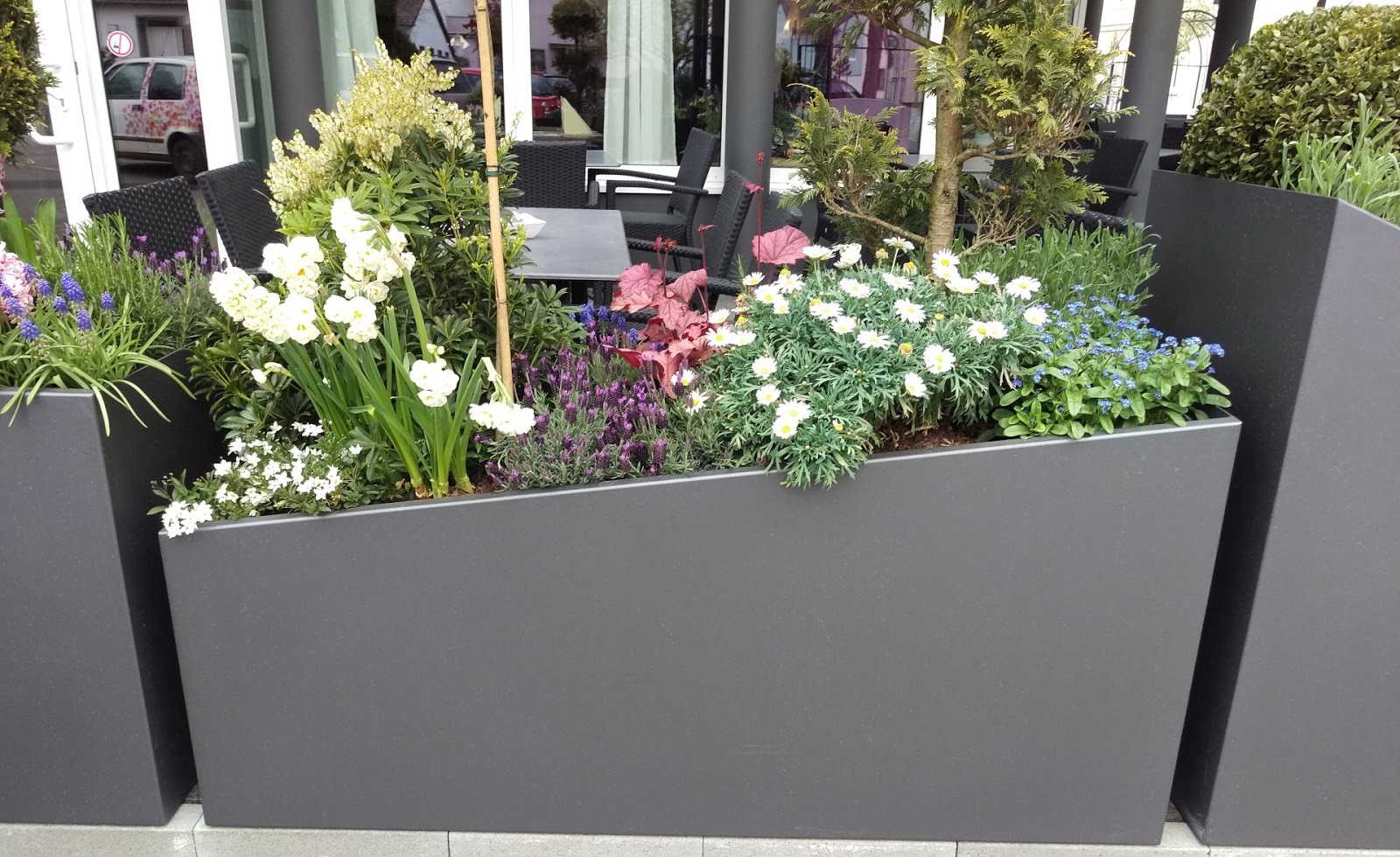 FRÖBEL METALLBAU Pflanzkübel aus Aluminium