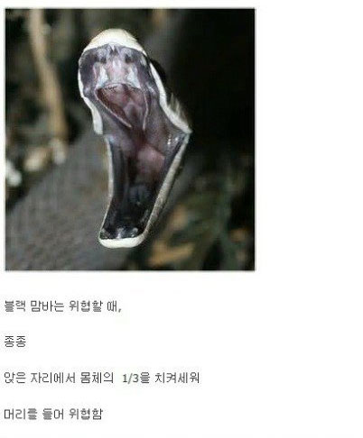 4_07.jpg