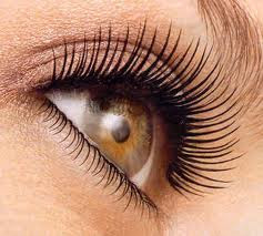 Tips Of Applying Mascara Tips Of Applying Mascara