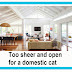Open Plan Living Is Not Ideal for Domestic Cats