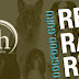 4Health Dog Food Rating