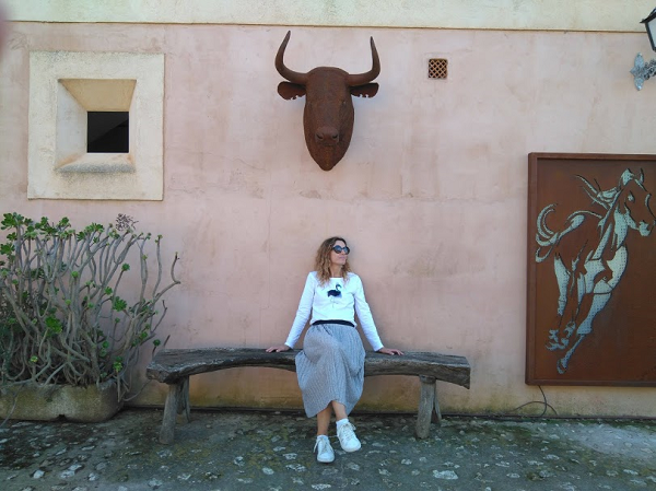 camiseta handmade flamneco azul