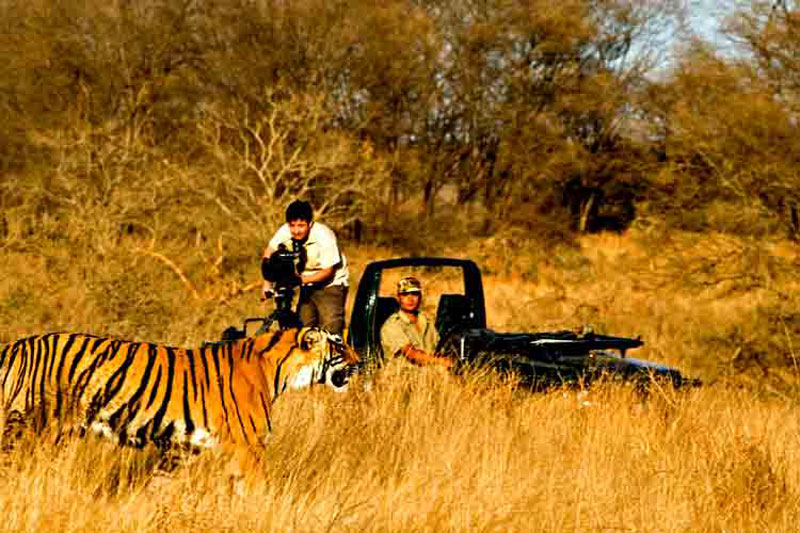 Discover India: Jungle safari in Bandhavgarh National Park, Madhya