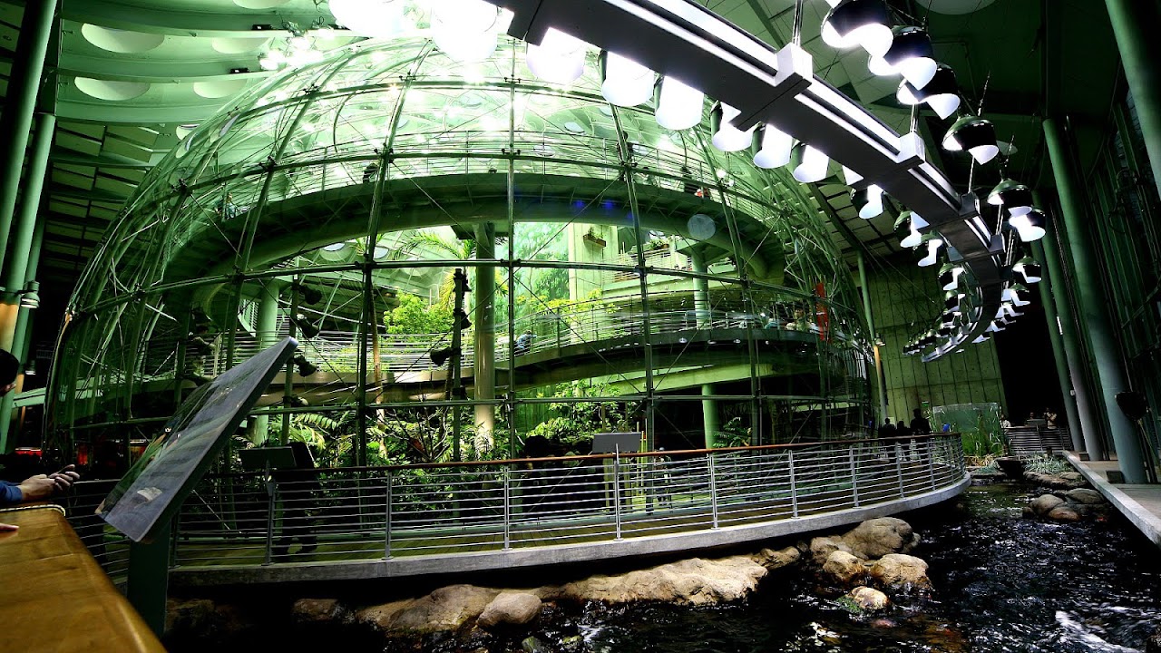 California Academy of Sciences Museum Trip to Museum