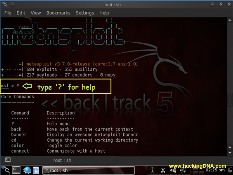 Metasploit Banner