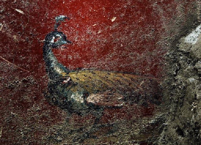 Spectacular wall frescoes discovered at Pompeii Spectacular wall frescoes discovered at Pompeii