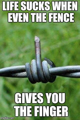 Even the fence does not like you..