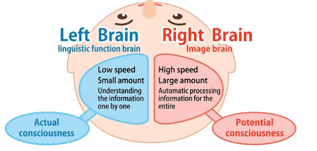 Heguru Right Brain Training for My Baby and Toddler The
