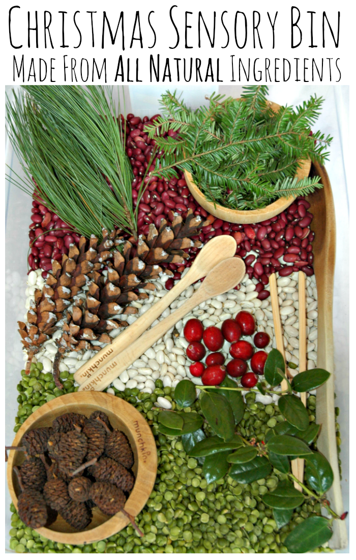 Christmas sensory bin made from all natural materials. Great fun for kids!