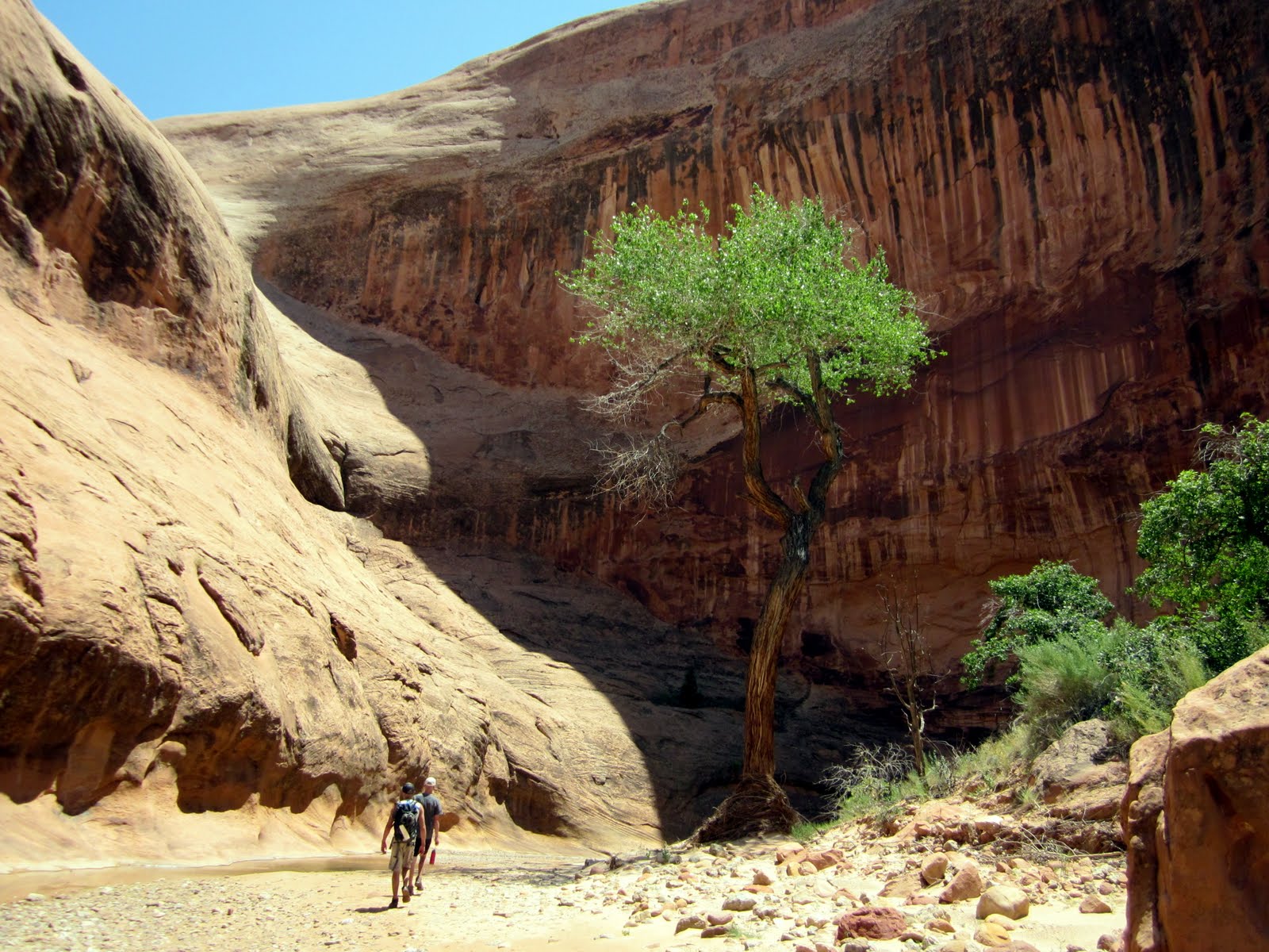 Journeys Capitol Reef National Park, Utah Halls Creek Narrows Backpacking