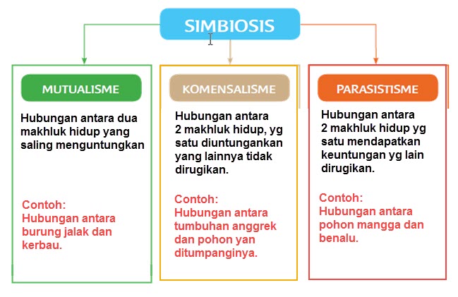 Featured image of post Pamflet Adalah Sebuah Tulisan Yang Berisi Tentang Yang baru saja anda baca di atas adalah nama kota terpanjang di dunia