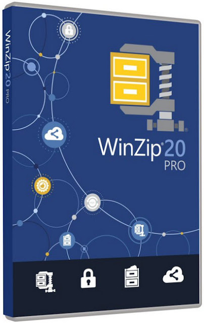 winzip pro 20 winzip pro 20